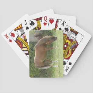 Chestnut Brown Horse Grazing Playing Cards