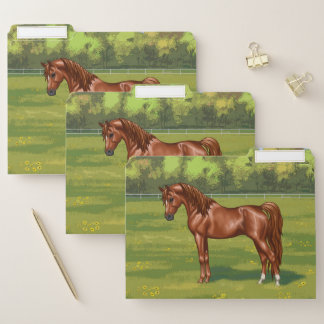 Chestnut Egyptian Arabian Horse in Spring Pasture File Folder