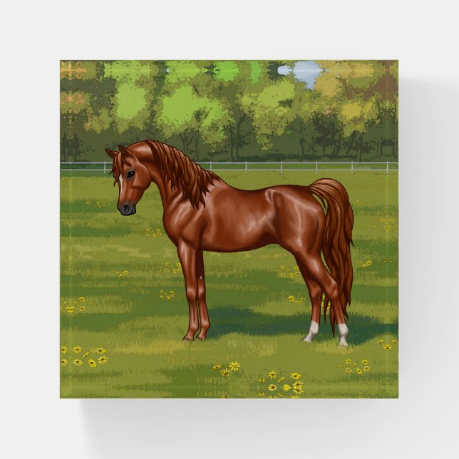 Chestnut Egyptian Arabian Horse in Spring Pasture Paperweight (Front)