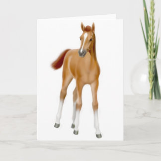 Chestnut Foal Greeting Card