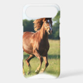Chestnut Galloping Horse iTouch Case (Back)