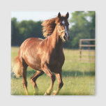 Chestnut Galloping Horse Magnet