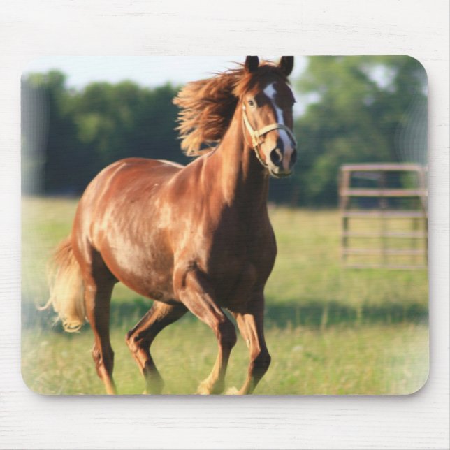 Chestnut Galloping Horse Mouse Pad (Front)