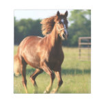 Chestnut Galloping Horse Notepad