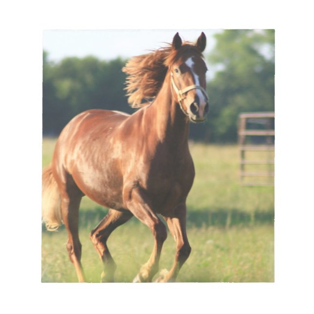 Chestnut Galloping Horse Notepad (Front)