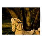 Chestnut Horse (Front Horizontal)