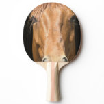 chestnut-horse-4 Ping-Pong paddle