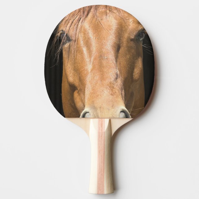 chestnut-horse-4 Ping-Pong paddle (Front)