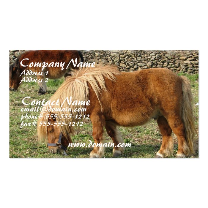 Chestnut Horse Business Card