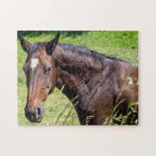 Chestnut Horse Closeup Jigsaw Puzzle