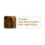 Chestnut Horse Design Return Address Label