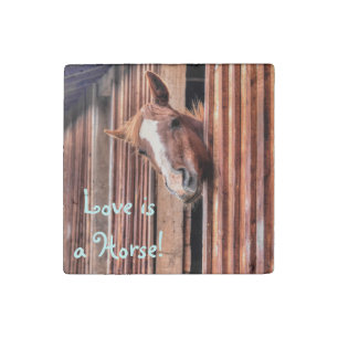 Chestnut Horse Friend & Barn, Horse-lovers Photo Stone Magnet