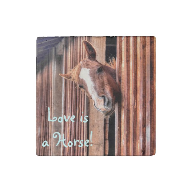 Chestnut Horse Friend & Barn, Horse-lovers Photo Stone Magnet (Front)