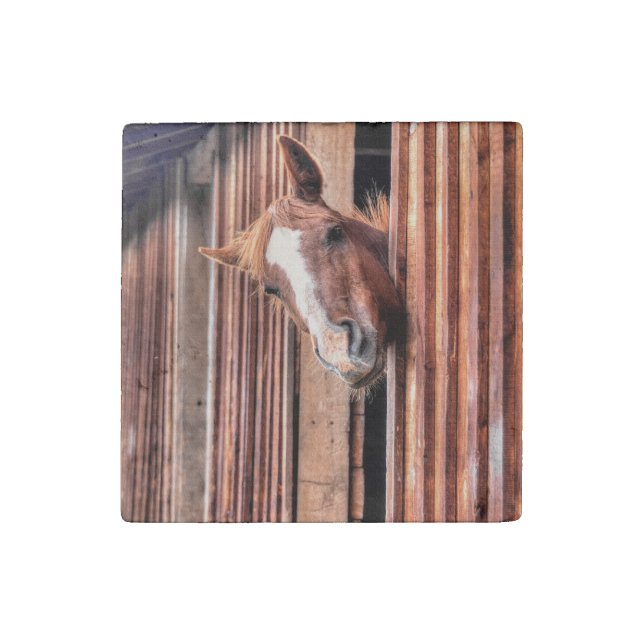 Chestnut Horse Friend & Barn, Horse-lovers Photo Stone Magnet (Front)