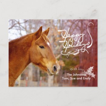 Chestnut Horse Holiday Photo Postcards by WalnutCreekAlpacas at Zazzle