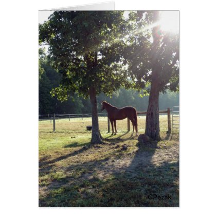 Chestnut Horse in a field Card