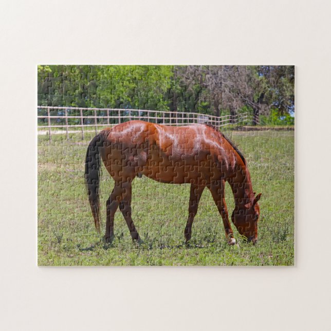 Chestnut Horse in a Field Jigsaw Puzzle (Horizontal)