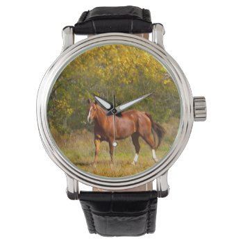 Chestnut Horse In Fall Watch by PattiJAdkins at Zazzle