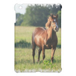 Chestnut Horse iPad Case Cover For The iPad Mini