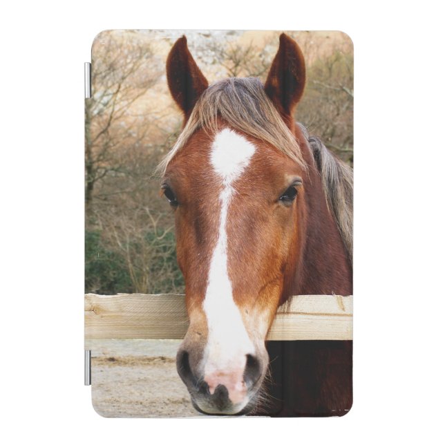 CHESTNUT HORSE iPad MINI COVER (Front)