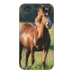 Chestnut Horse iPhone Case
