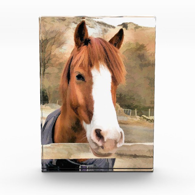 CHESTNUT HORSE PHOTO BLOCK (Front)