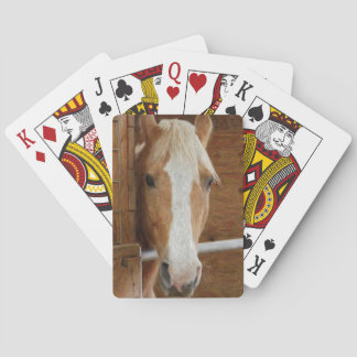 chestnut horse playing cards