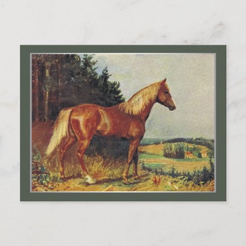 Chestnut Horse Postcard