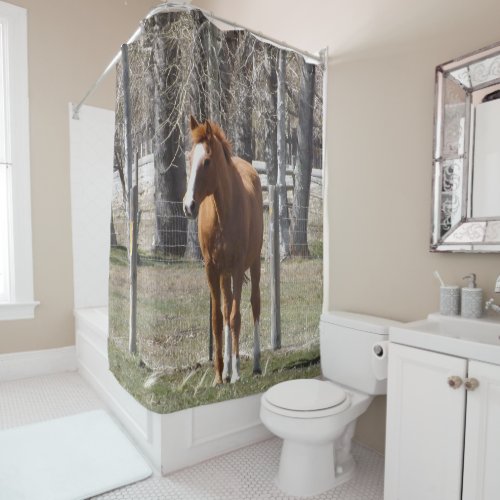 Chestnut Horse Shower Curtain