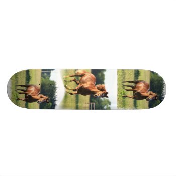 Chestnut Horse Skateboard by HorseStall at Zazzle