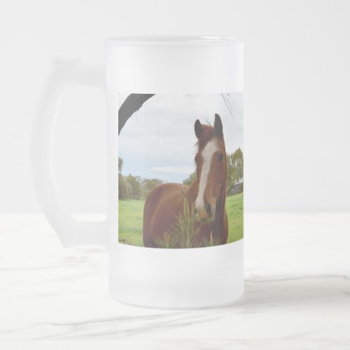 Chestnut Horse Sniffing A Banksia Tree Frosted Glass Beer Mug