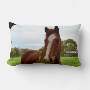 Chestnut Horse Sniffing A Banksia Tree, Lumbar Pillow