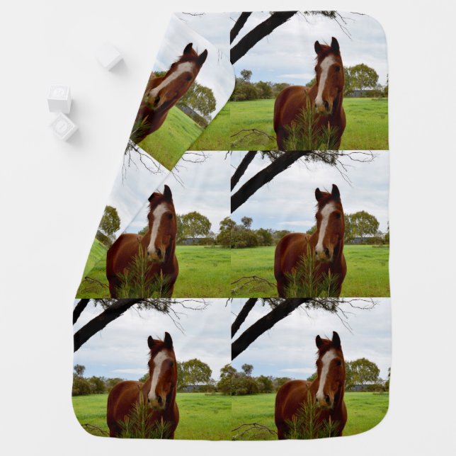 Chestnut Horse Sniffing A Banksia Tree, Swaddle Blanket (In Situ)