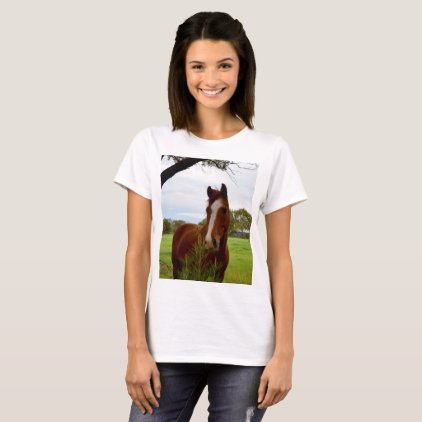 Chestnut Horse Sniffing A Banksia Tree, T-Shirt