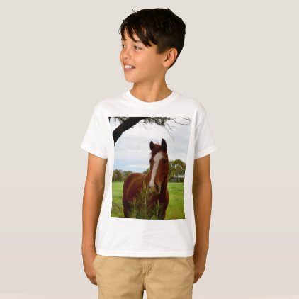 Chestnut Horse Sniffing A Banksia Tree, T-Shirt