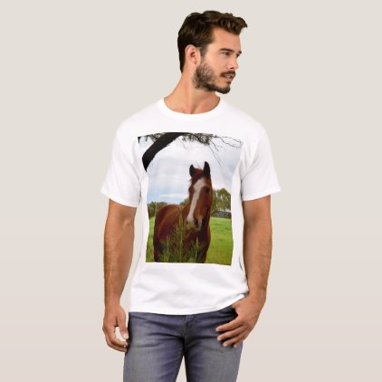 Chestnut Horse Sniffing A Banksia Tree, T-Shirt