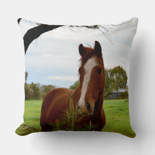Chestnut Horse Sniffing A Banksia Tree, Throw Pillow