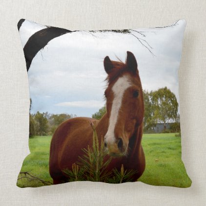 Chestnut Horse Sniffing A Banksia Tree, Throw Pillow