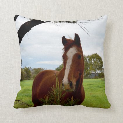 Chestnut Horse Sniffing A Banksia Tree, Throw Pillow