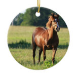 Chestnut Horse Standing Ornament