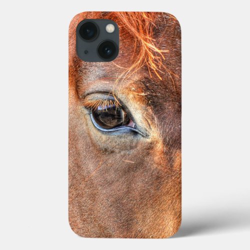 Chestnut Horses Eye Equine Photo IV iPhone 13 Case