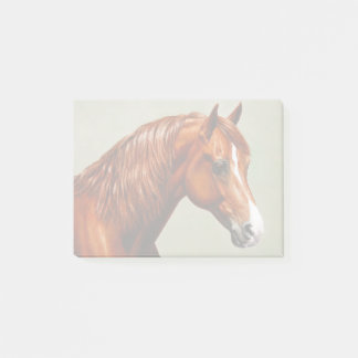 Chestnut Morgan Horse Post-it Notes
