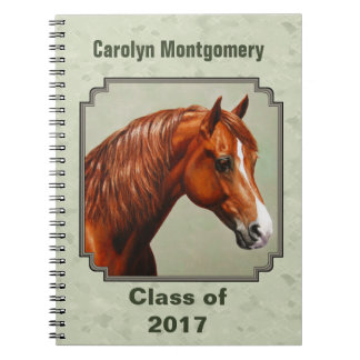 Chestnut Morgan Horse Sage Green Notebook
