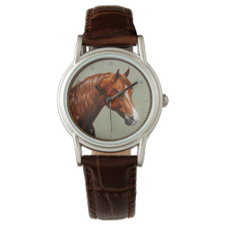 Chestnut Morgan Horse Watch