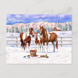 Chestnut Pinto Sorrel Paint Quarter Horses In Snow Postcard