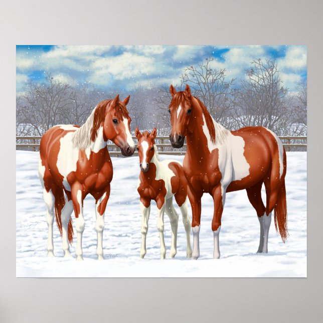 Chestnut Pinto Sorrel Paint Quarter Horses In Snow Poster (Front)