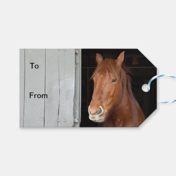 Chestnut Quarter Horse Waiting To Be Let Out Gift Tags by WackemArt at Zazzle