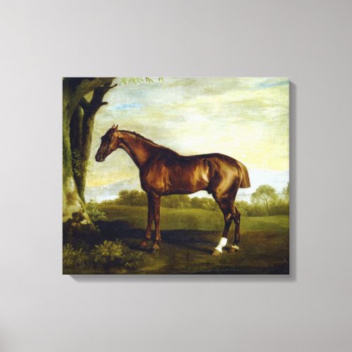Chestnut Racehorse in a Landscape George Stubbs Canvas Print