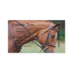 Chestnut Show Horse Business Cards