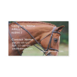 Chestnut Show Horse Business Cards